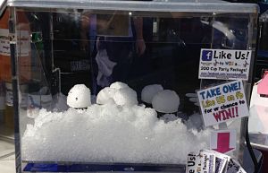 Snow Cone Machine Hire: How To Hire The Right Machine